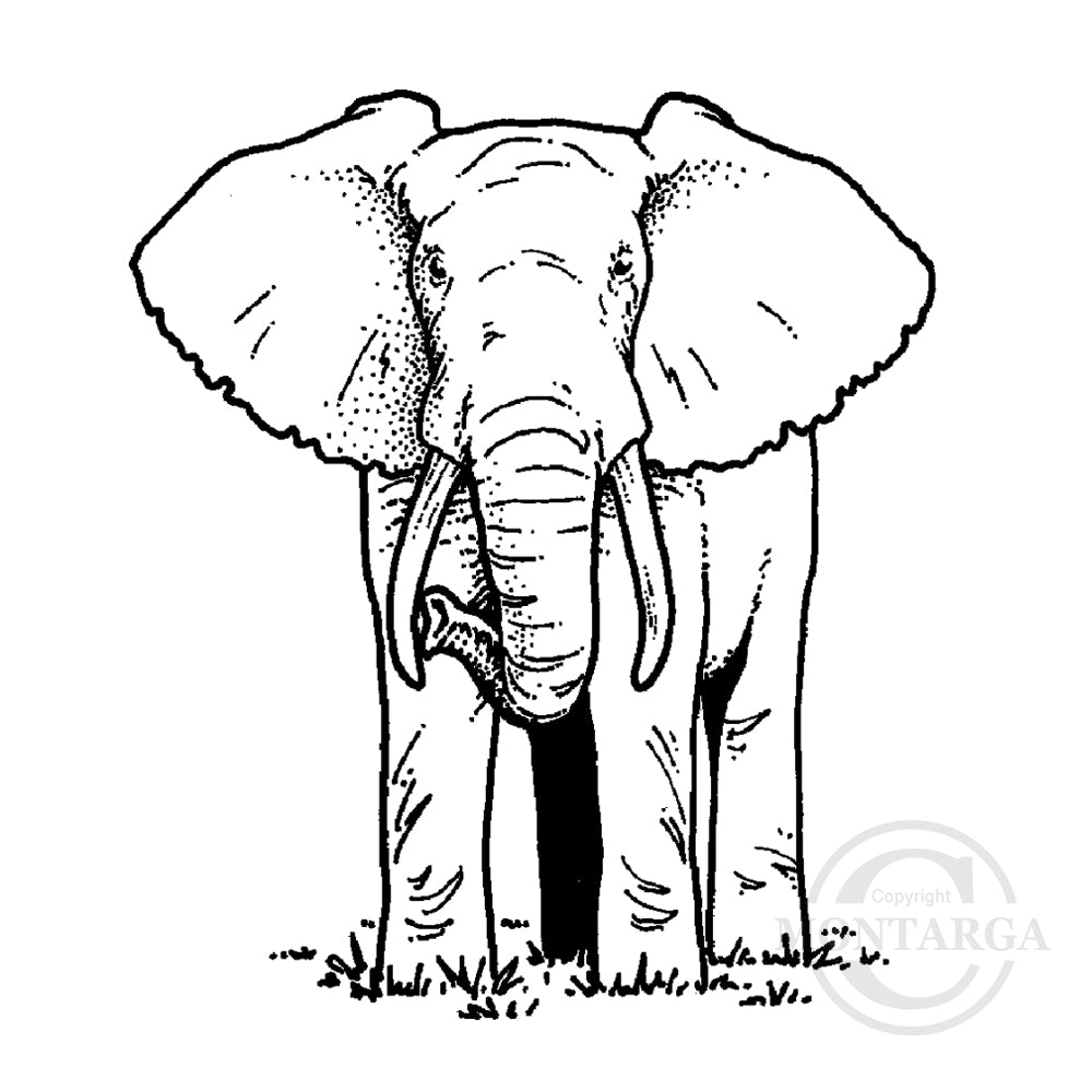 1259 F or D - Elephant Rubber Stamp