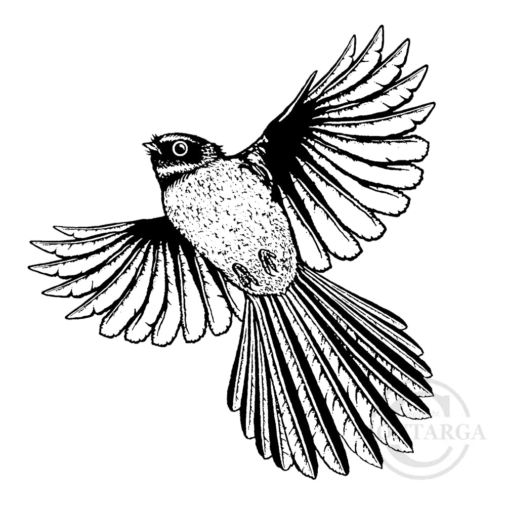 1307 G Flying Pīwakawaka Fantail Rubber Stamp