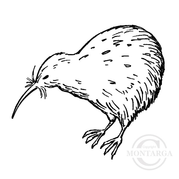 1318 A or C Kiwi Rubber Stamp