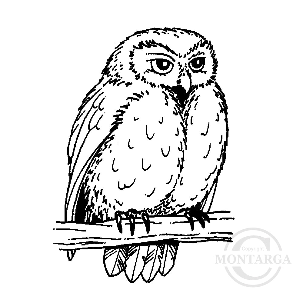 1327 C Owl Rubber Stamp