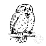 1327 C Owl Rubber Stamp