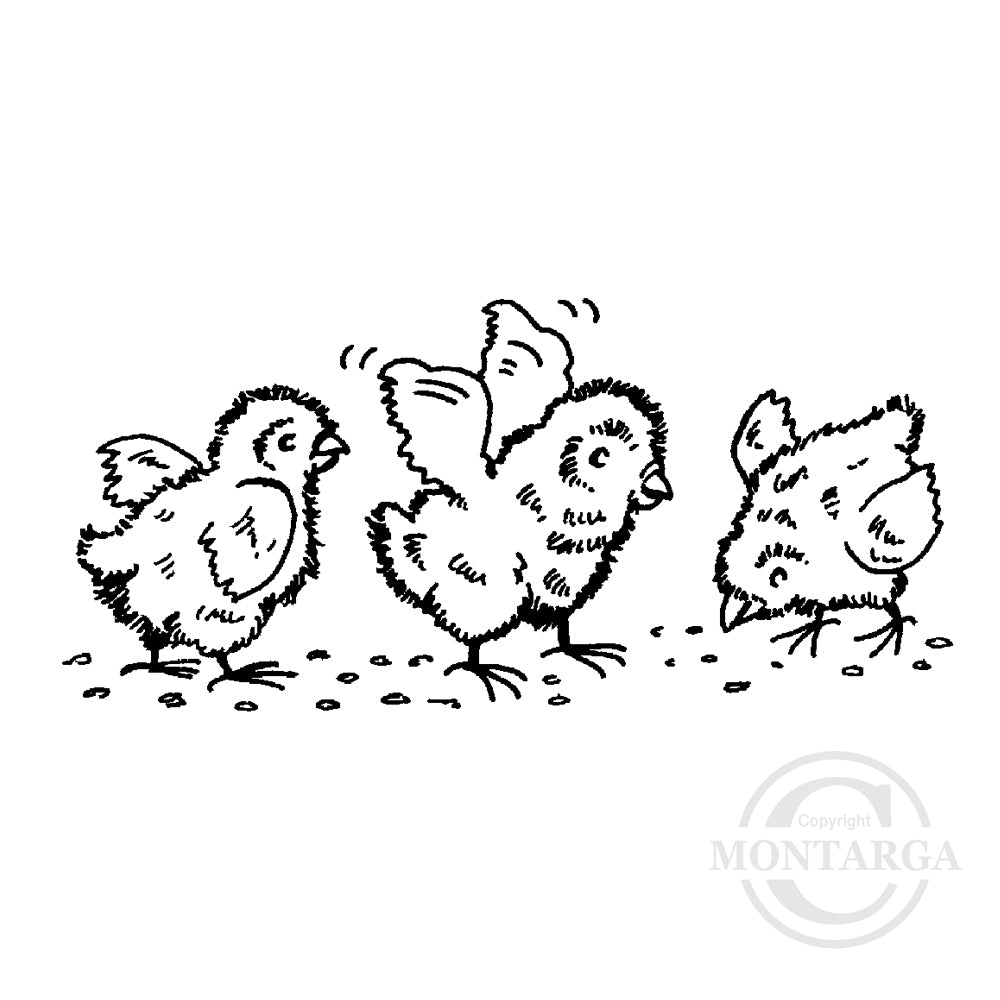 1355 B Chicks Rubber Stamp