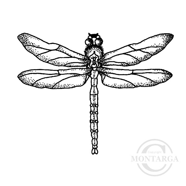1366 F or C Dragonfly Rubber Stamp