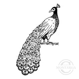 1372 G Peacock Rubber Stamp