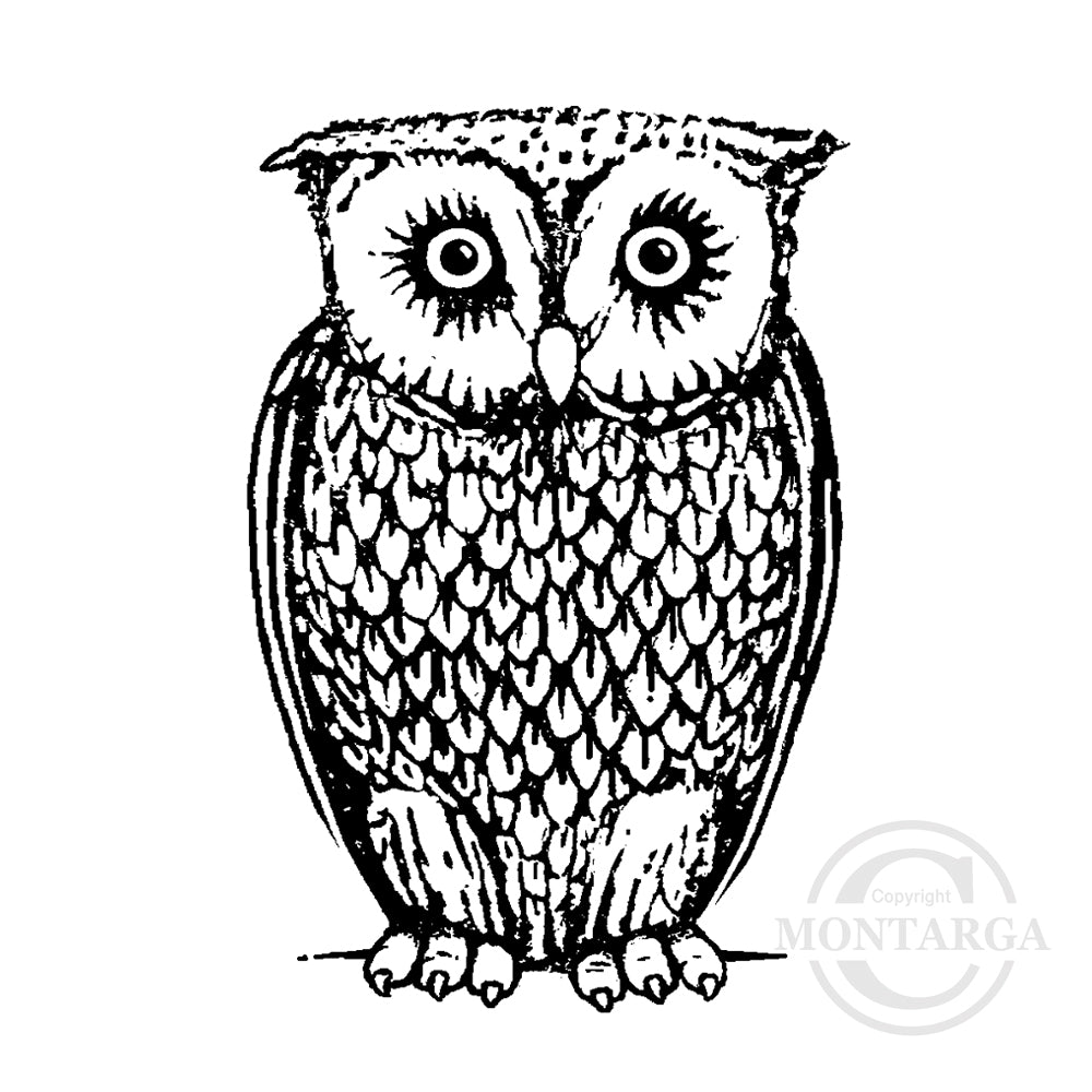 1385 D Owl Rubber Stamp