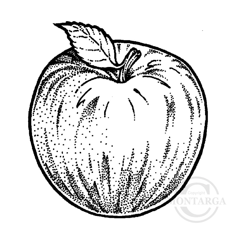 1854 A or C - Apple Rubber Stamp