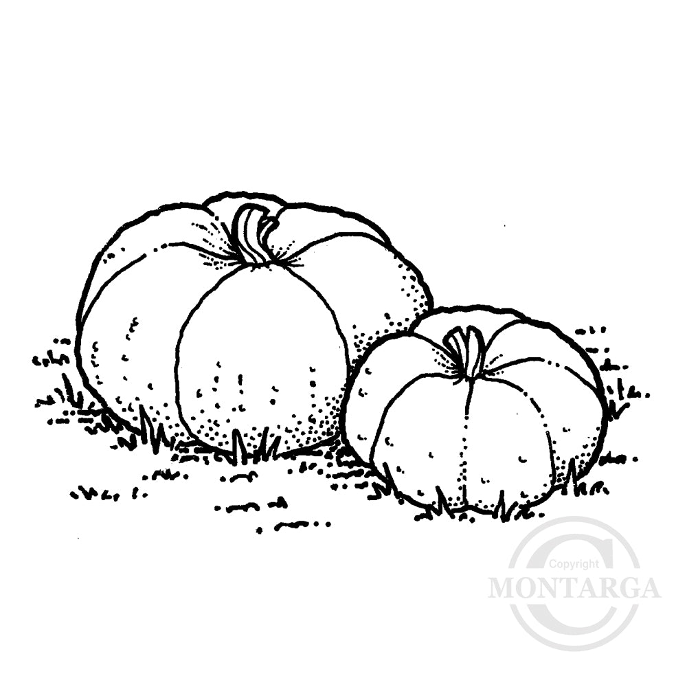 1860 E - Pumpkins Rubber Stamp