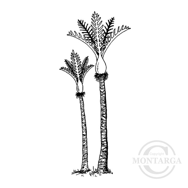 1962 B or FF - Nikau Palm Tree Rubber Stamp