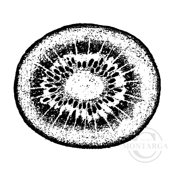 1973 C - Kiwifruit Slice Rubber Stamp