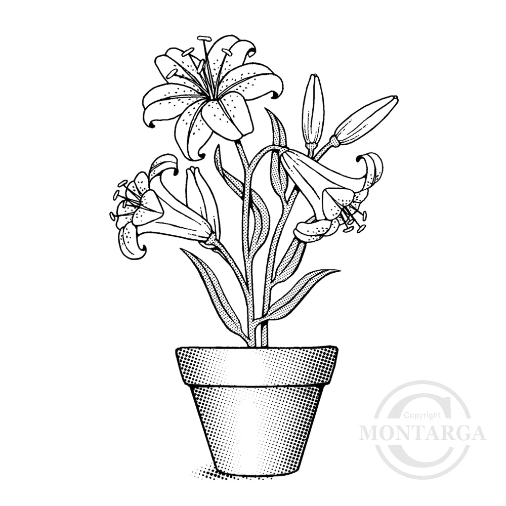 2336 GG - Lilies in Pot Rubber Stamp