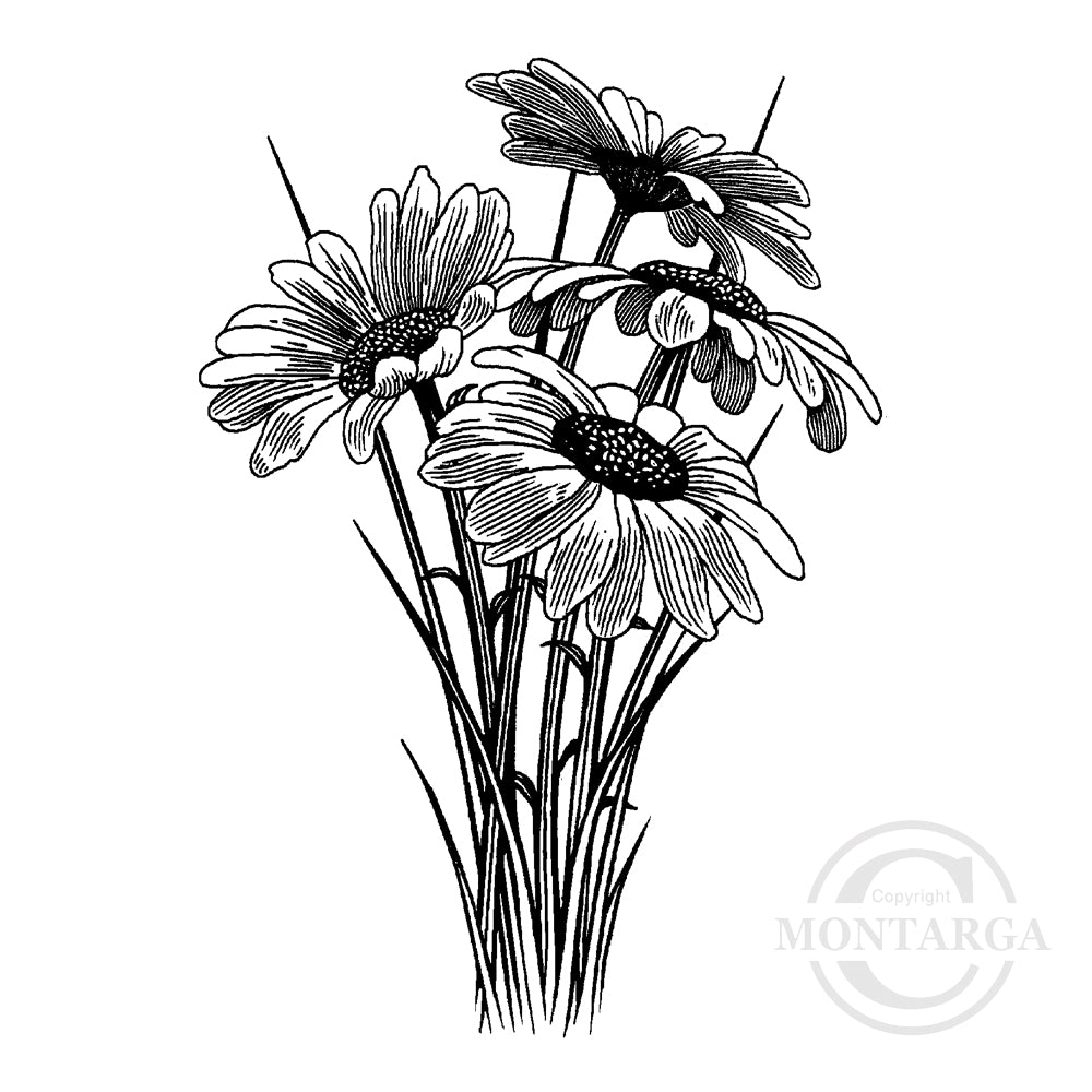 3241 G or GG - Daisies Rubber Stamp