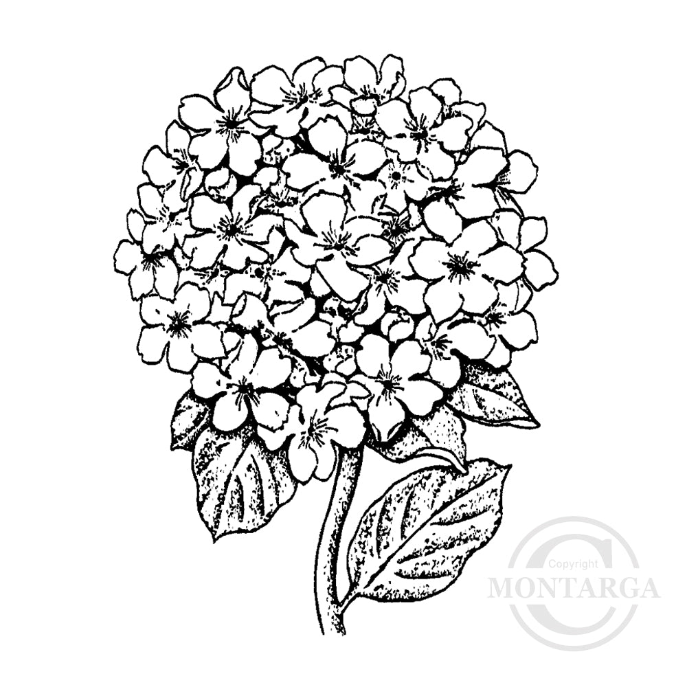 3258 G - Hydrangea Rubber Stamp