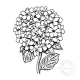 3258 G - Hydrangea Rubber Stamp