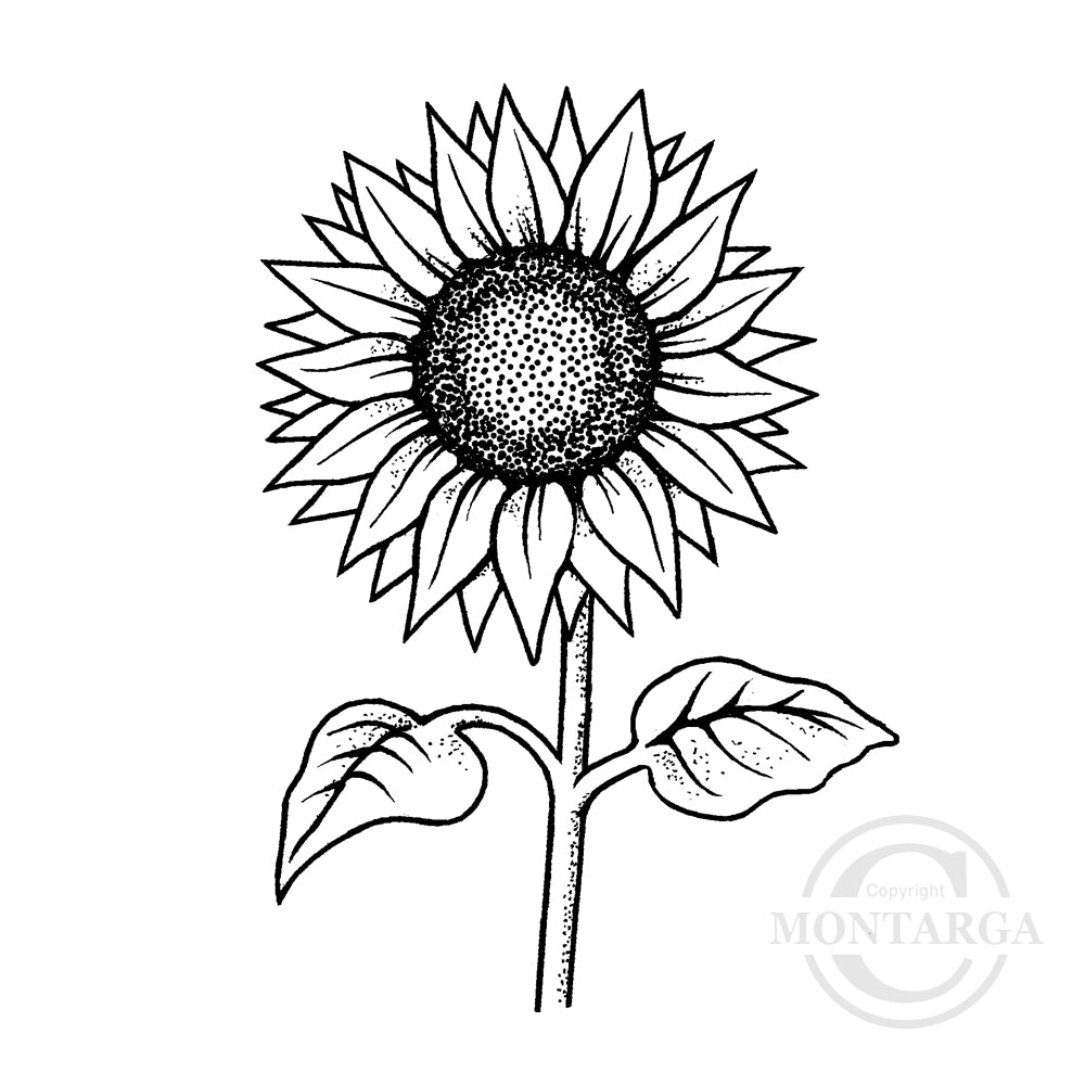 3274 G - Sunflower Rubber Stamp