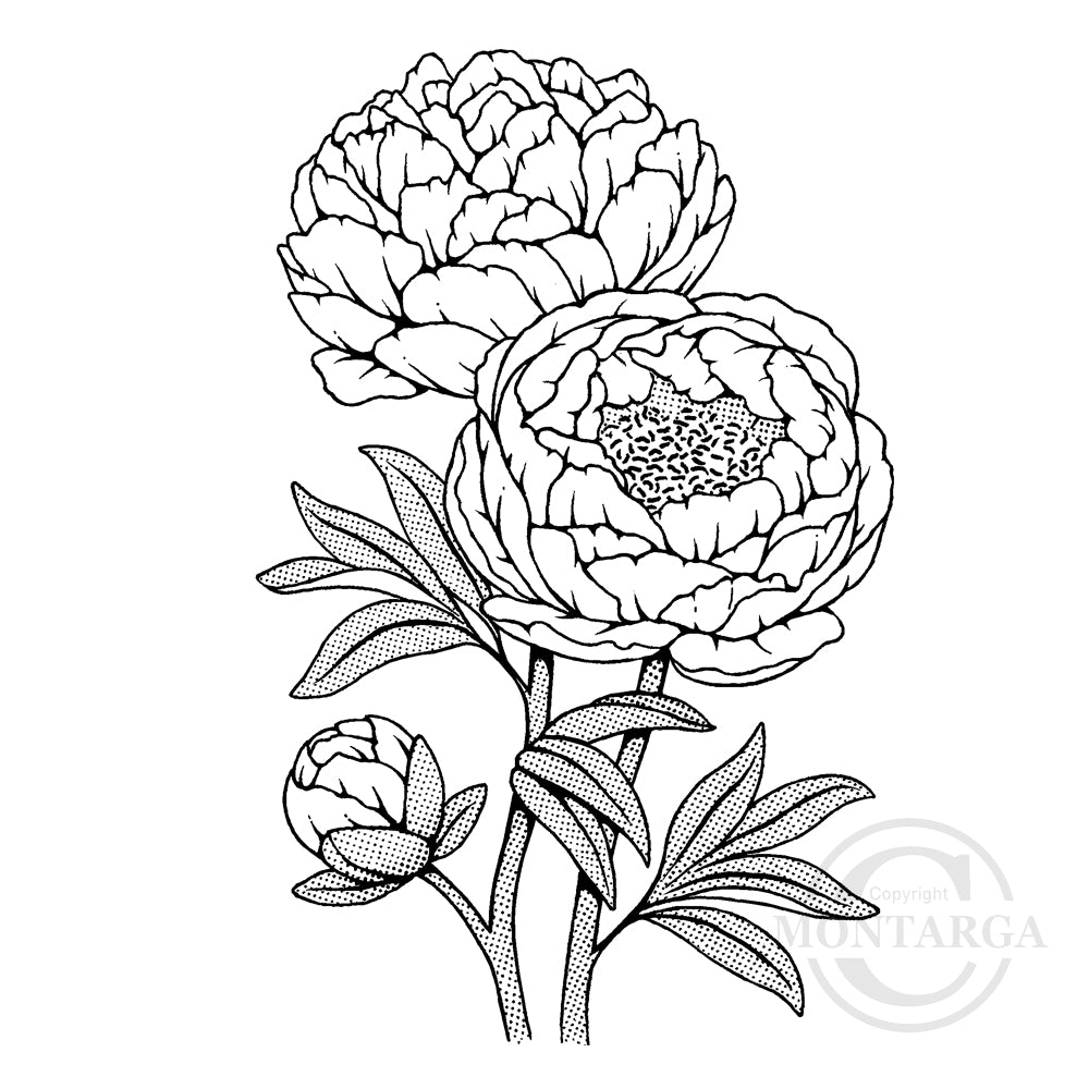 3292 GG - Peony Rose Rubber Stamp