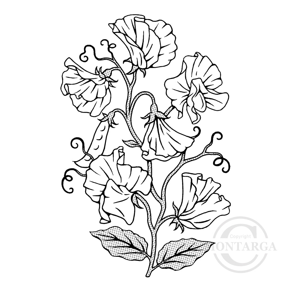 3293 GG - Sweet Peas Rubber Stamp