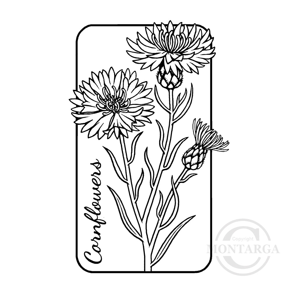 3299 GG - Cornflowers Rubber Stamp