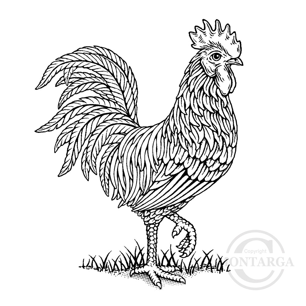 3620 F - Rooster Rubber Stamp