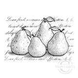 3804 GG - Pears with Script Background Rubber Stamp