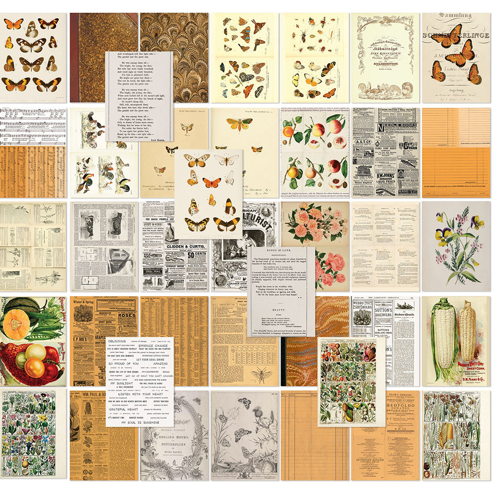 49 and Market 6 x 8 Collage Sheets - Peach