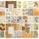 49 and Market 6 x 8 Collage Sheets - Peach