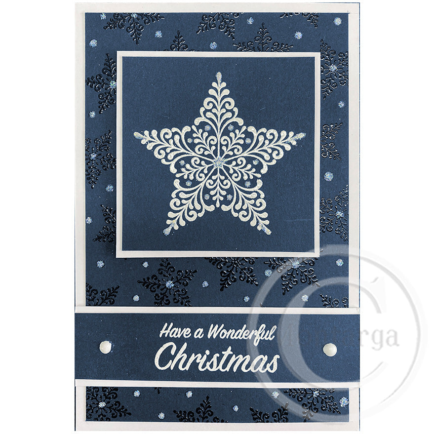 2413 C or A - Filigree Star Rubber Stamp