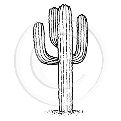 0601 B - Cactus Rubber Stamps