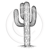 0601 B - Cactus Rubber Stamps