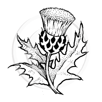 0657 A or C - Thistle Rubber Stamp