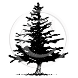 0929 A or F - Pine Tree Rubber Stamps