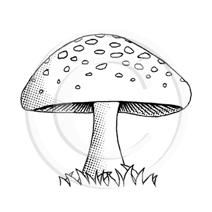 0990 C - Mushroom Rubber Stamp