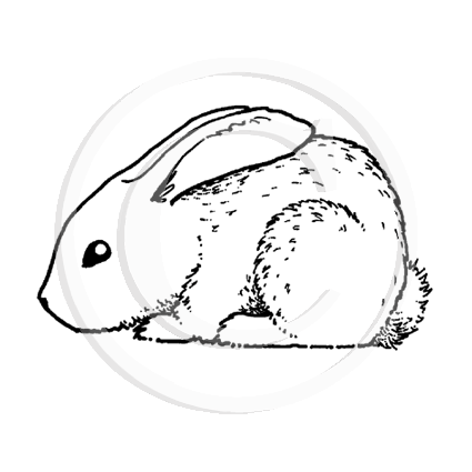 1129 A - Rabbit Rubber Stamp