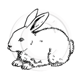 1147 C - Rabbit Rubber Stamp