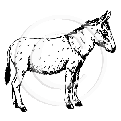 1206 F - Donkey Rubber Stamp
