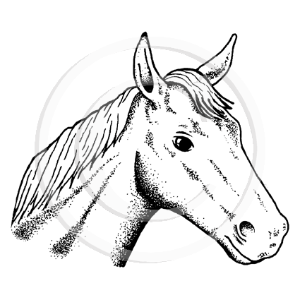 1293 G or D - Horse Head Rubber Stamp