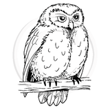 1327 C Owl Rubber Stamp