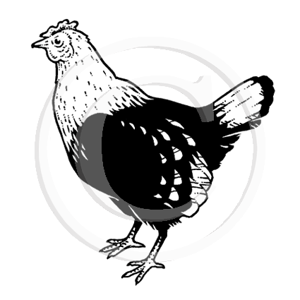 1341 C Chicken Hen Rubber Stamp