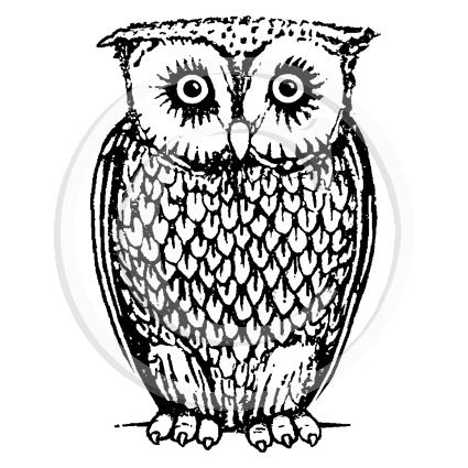 1385 D Owl Rubber Stamp