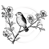 1388 G Bird on Branch Rubber Stamp