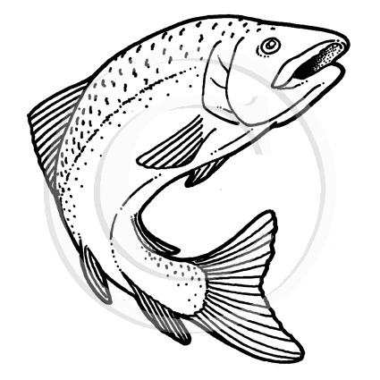 1421 F - Leaping Trout Rubber Stamp