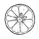 1874 A or C - Citrus Slice Rubber Stamp