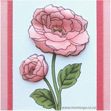 Card Sample - Sympathy Rose
