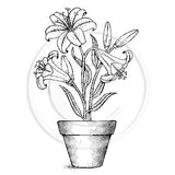 2336 GG - Lilies in Pot Rubber Stamp