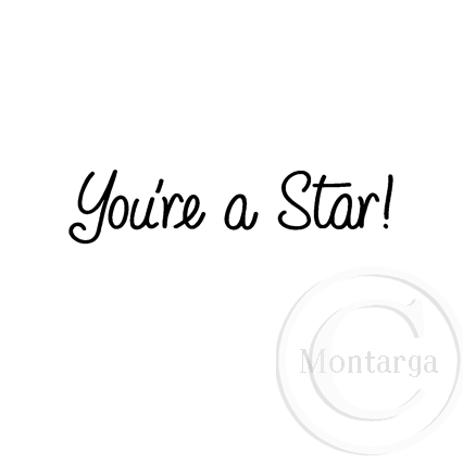 2849 B - You're a Star Rubber Stamp