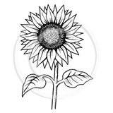 3274 G - Sunflower Rubber Stamp