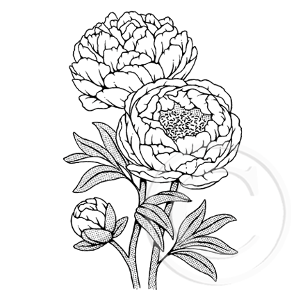 3292 GG - Peony Rose Rubber Stamp