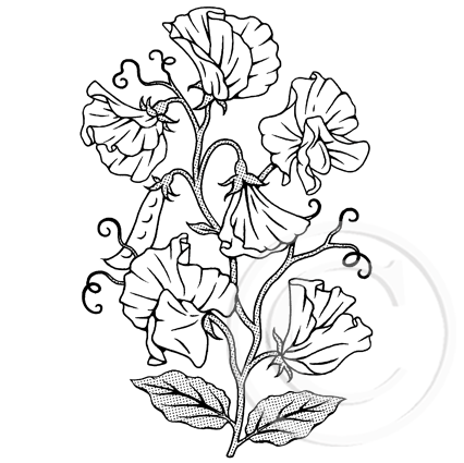 3293 GG - Sweet Peas Rubber Stamp