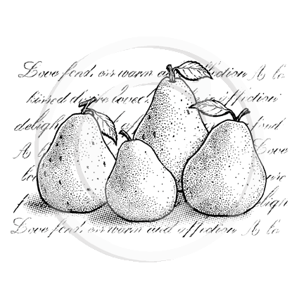 3804 GG - Pears with Script Background Rubber Stamp