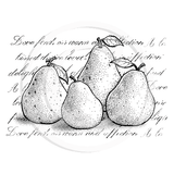 3804 GG - Pears with Script Background Rubber Stamp