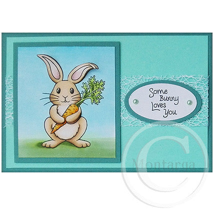 2844 A - Some Bunny Rubber Stamp